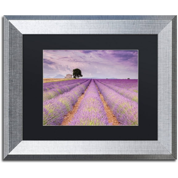 Trademark Fine Art 'Stone House' Canvas Art by Michael Blanchette Photography, Black Matte, Silver Frame