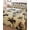Brown, variant on Twin Quilt Bedding Set, Western Cowboys Reversible Summer Quilt 3 Pieces, Beige Vintage Country Cactus Lightweight Bedspreads Coverlets with 2 Pillow Shams for All Seasons