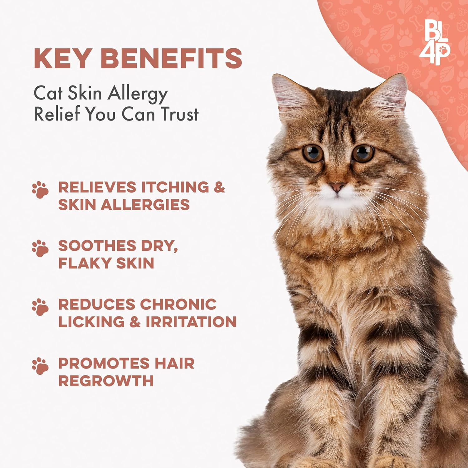 Cat skin allergy medicine hotsell