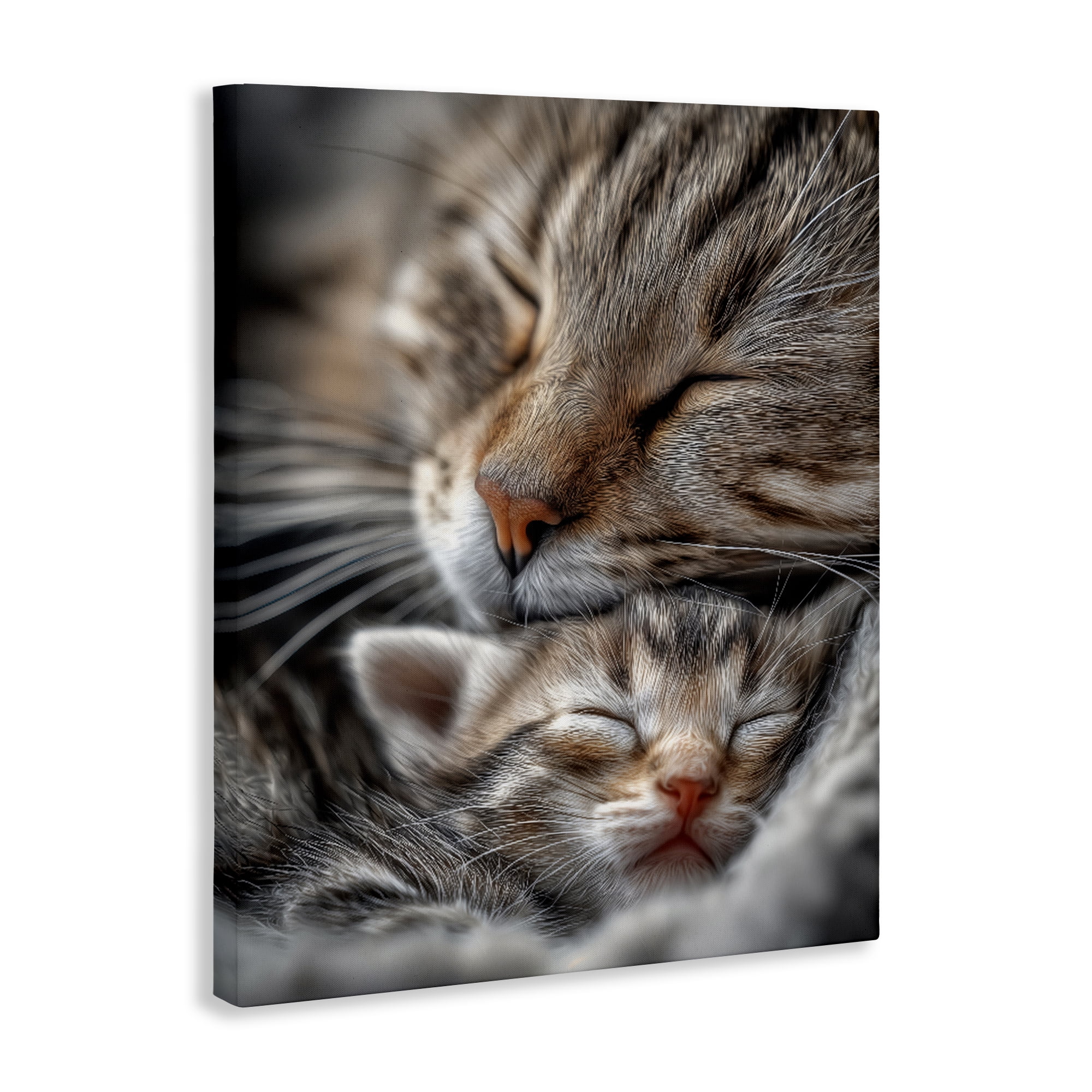 Stupell Industries Kitty Love Cuddles Canvas Wall Art, design by Scott Stulberg