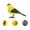 A, variant on Voice Activated Bird Toy, Interactive Simulation Songbird, Voice Control Induction Bird for Kids, Educational Hand Eye Coordination Development Gift, Plastic Material, Battery Operated, 12x4.5x8.9cm