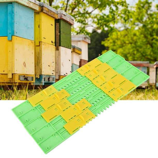 Resistente Resistente Fácil de Instalar Materiales de Plástico de Alta Abeja, Colmena Liviana, Hogar para Personas Profesionales de Apicultores Jardín