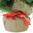 thumbnail image 4 of Northlight 2 FT Mini Balsam Pine Medium Artificial Christmas Tree in Burlap Base, Unlit, 4 of 5