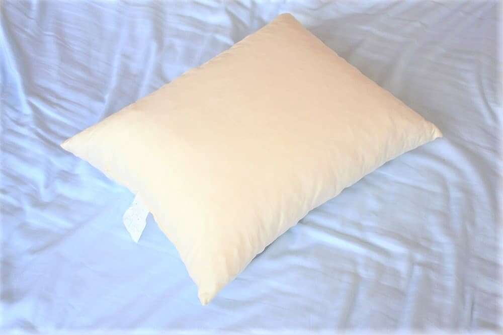 Shredded Latex Body Pillow w/zip 20x72