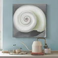 thumbnail image 3 of American Artist Georgia O'Keeffe Shell Poster Canvas Art Poster and Wall Art Picture Print Modern Family bedroom Decor Posters 20x20inch(50x50cm), 3 of 5
