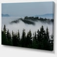 thumbnail image 2 of Dark Trees and Fog Over Mountains, 2 of 3