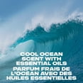 thumbnail image 4 of AXE Cool Ocean Body Wash for All Day Freshness, Sea Mist & Grapefruit, with 100% Plant-Based Moisturizers, 473mL, 4 of 7