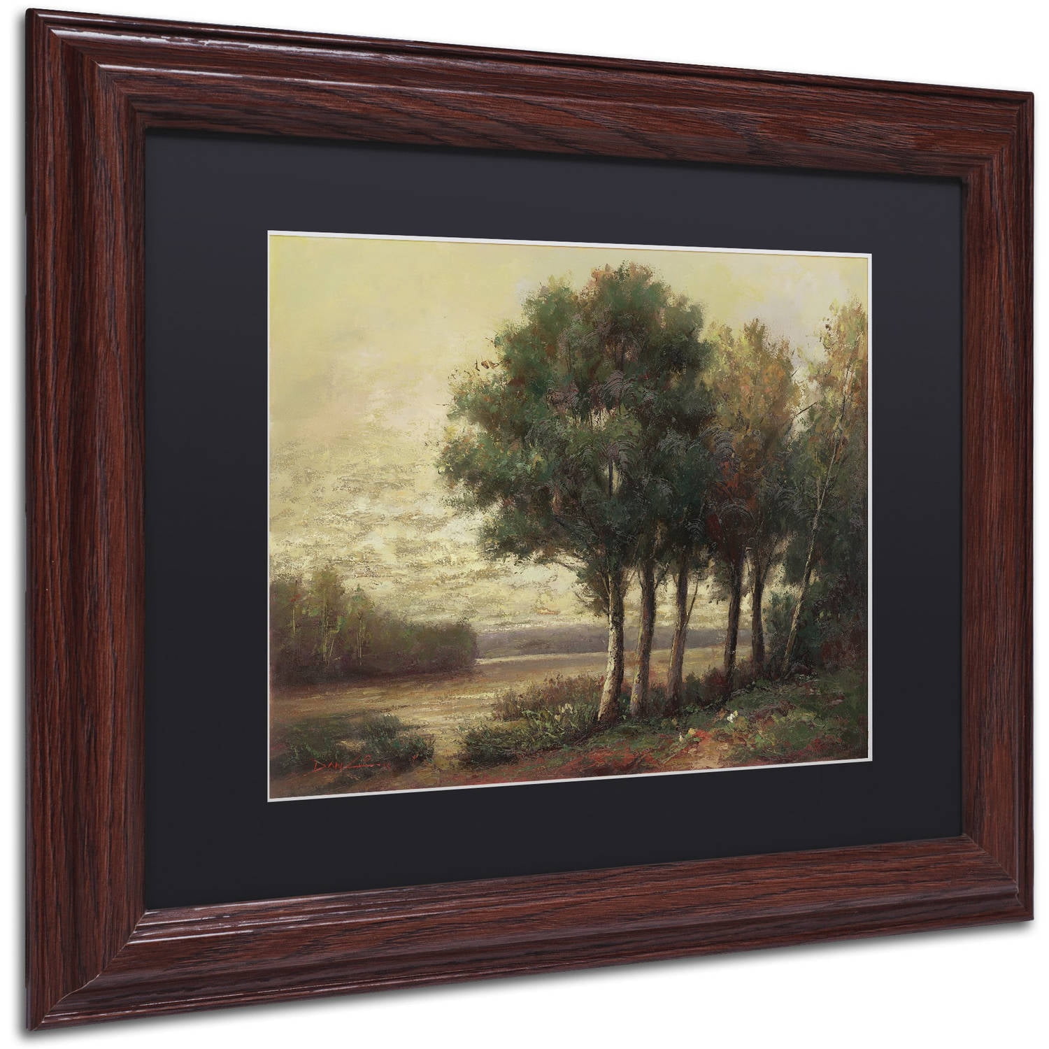 Trademark Fine Art "Tranquility" Canvas Art by Daniel Moises, Black Matte, Wood Frame
