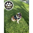 thumbnail image 4 of Pechera Táctica Personalizada Para Perro, 4 of 8