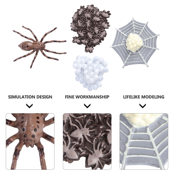 OUNONA Animal Model Simulation Animal Evolution Model Plastic 1 Set