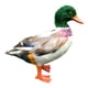 thumbnail image 1 of Figura decorativa de pato, figuras de animales, miniaturas pintadas a mano para el jardín y el hogar. Vistoso, 1 of 3