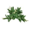 thumbnail image 5 of Mainstays 24 in Artificial Laurel Bay Bush, Green, No Pot, 5 of 8