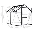 thumbnail image 4 of vidaXL Serre Anthracite Aluminium 4.75 M2, 4 of 4