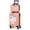 Rosegold, variant on 2-Piece Luggage Set Carry On Suitcase with 14" Makeup Case