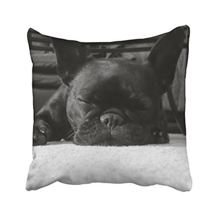 Bulldog Toss Pillow - WinHome Decorative French Bulldog Throw Pillow Cover Case Size 18x18 inches Two Side