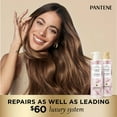 thumbnail image 5 of Pantene Nutrient Blends Conditioner Miracle Moisture Boost with Rose Water, 13.5 fl oz, 5 of 10
