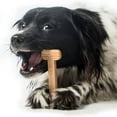 thumbnail image 5 of Bullibone Small Beef Flavored Nylon Chew Toy for Dogs, 5 of 8