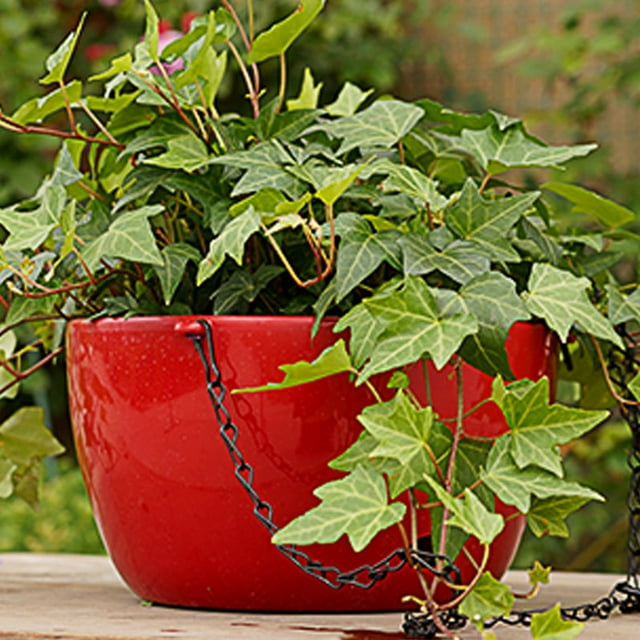 Coofit Hanging Planter Decorative Resin Hanging Basket Hanging Flower Pot for Balcony