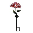thumbnail image 2 of Decoración de patio Baoblaze 2 piezas Lámpara solar de hierro, 2 of 8