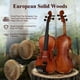 thumbnail image 4 of PHOENIX Violín 4/4 de tamaño completo, violín de madera maciza para principiantes profesionales, adultos y niños con arco octogonal de madera de hierro y arco de palisandro, cuerdas y puente adicional, 4 of 5