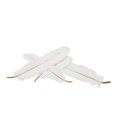 thumbnail image 1 of Sagebrook Home White/Gold Feathers Wall Decor, 1 of 2