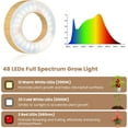 thumbnail image 4 of Grow Lights for Indoor Plants Full Spectrum Plant Lights for Indoor Growing with withTimer Color Modes Brightness Height Adjustable Wood Grain Plant Growing Lamp, 4 of 8