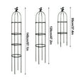 2024 Gardening Climbing Vine Plant Climbing Vine Trellis For Climbing 2024-gardening-climbing-vine-plant-climbing-vine-trellis-for-climbing