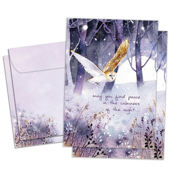 Tree-Free Greetings Solstice Greeting Card 2 Pack, 5 x 7, Owl Calmness (GT69320)