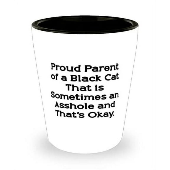 Black Cat Gifts For Cat Lovers, Proud Parent of a Black Cat That is Sometimes an, Reusable Black Cat Shot Glass, Ceramic Cup From Friends