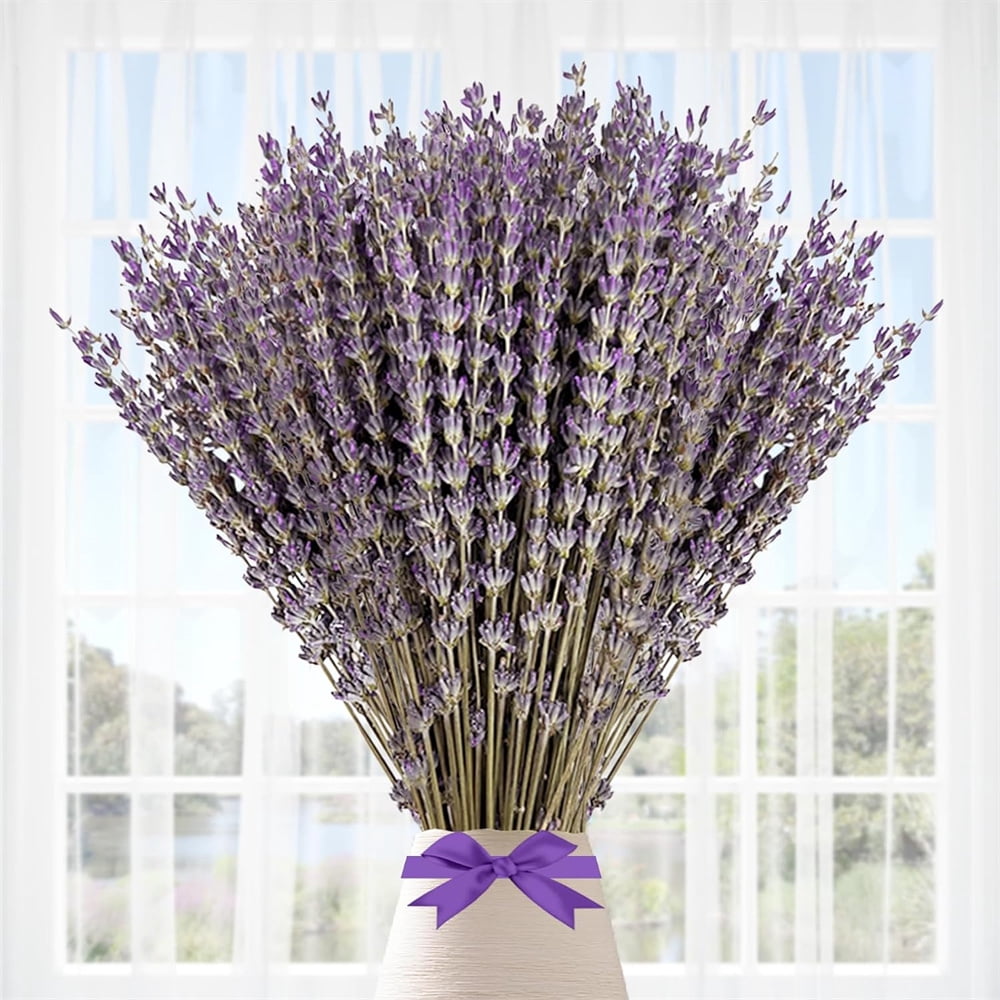 2 Pack Pure Natural Dried Lavender Flowers,Dried Flower Bundles for DIY Craft,Perfect Gift for Girls Women,Real Dried Lavender Bouquet,for Farmhouse Garden Home Decor