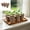 Brown, variant on Six Small Plants Potted Easily Release Tray Breathable And Drainage Silicone Folding Pot