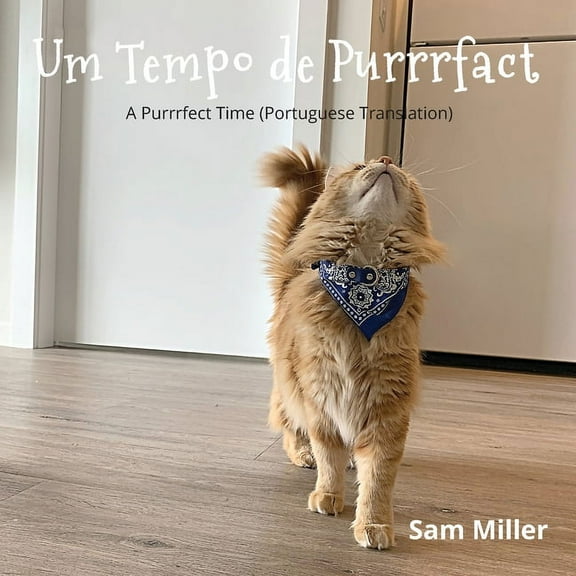 Um Tempo de Purrrfact, (Paperback)
