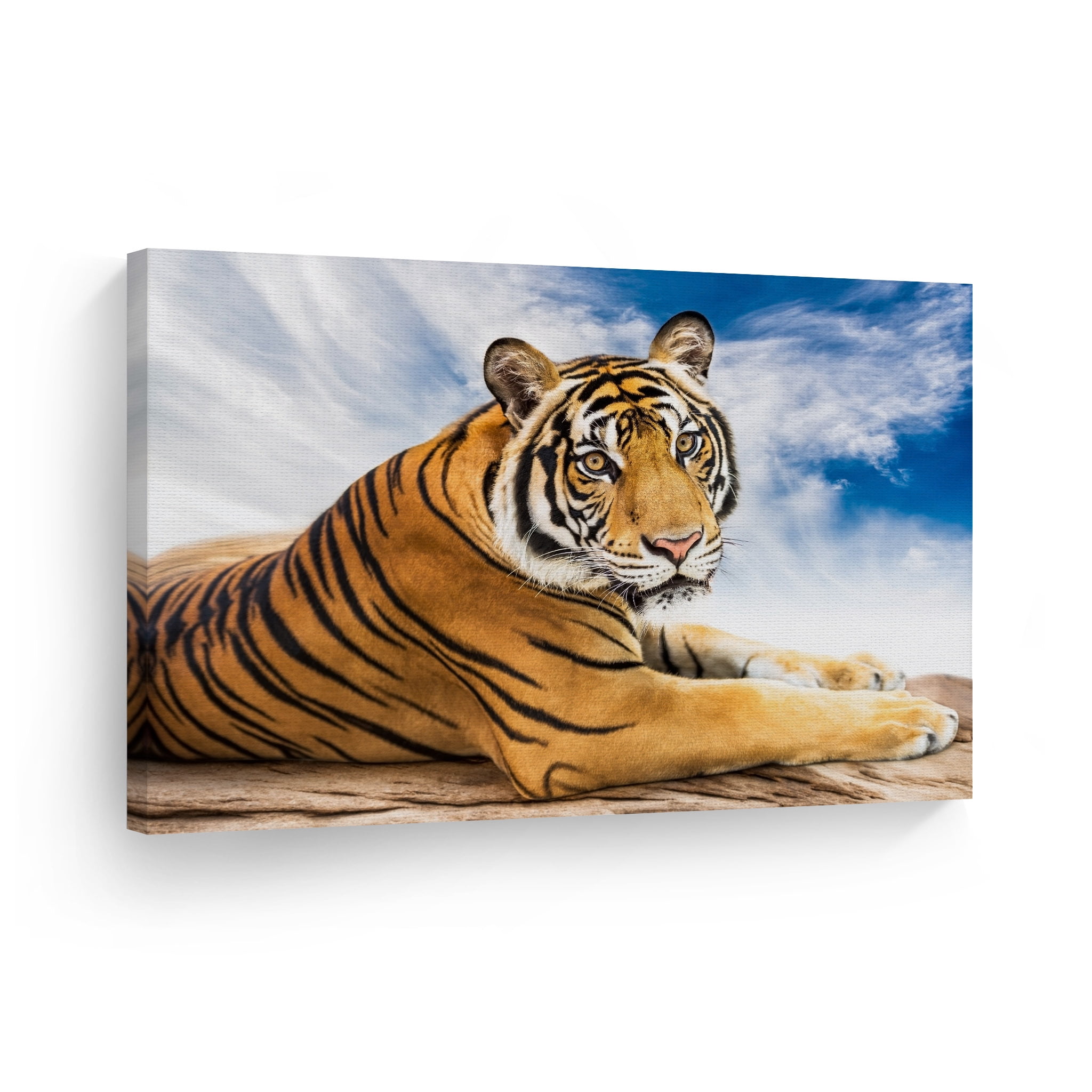 Wild White Bengal Tiger Wildlife Animal Wall Decor Mahogany Framed Art Picture 