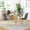 Gold+4 Gold-Gray Chairs, variant on Modern Round Glass Dining Set for 4, Modern Irregular Stainless Steel Legs and Velvet Cushioned Chairs for Kitchens, Living Rooms, Small Bar