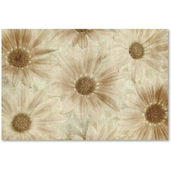 Trademark Fine Art 'Vintage Daisies' Canvas Art by Cora Niele