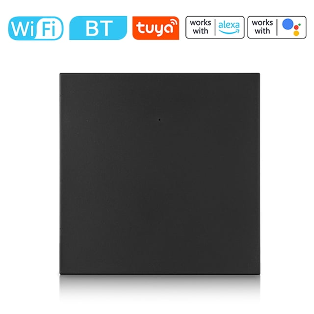 Riwcyla Homekit Water Heater Switch Water Boiler WiFi BLE Dual Mode Light Switch Timer Panel Switch High Power Compatible with and Home for Voice Control