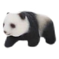 thumbnail image 4 of Figuras de Panda en miniatura Sunnimix escala 1:87 Estilo C, 4 of 7