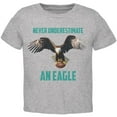 thumbnail image 1 of Never Underestimate An Eagle Flying Football Toddler T Shirt, 1 of 1