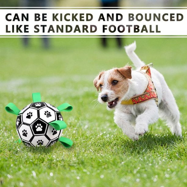 Tag toy for dogs 2025