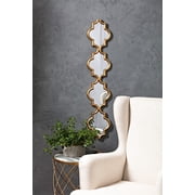 Madlyn Long Narrow Wall Mirror