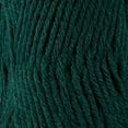 thumbnail image 2 of 5 Skeins of Sensy Roving Yarn, 3.5 oz, 132 Yards, Gauge 5 Bulky (Forest Green), 2 of 8