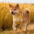 thumbnail image 6 of NWOKYZGH Cat Harness and Leash Set for Walking Escape Proof, Adjustable Kitten Harness Breathable Mesh with Reflective Strips Harness with Flower for Kitty Puppy Bunny, 6 of 6