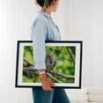 thumbnail image 4 of American Tree Sparrow - York Pennsylvania Photography Bird Wildlife Woodland Nature Animal Scenic Forest Black Framed Wall Art Print 11 x 14 inches, 4 of 8