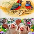 thumbnail image 3 of 5D Diy cristal Animal pintura pájaro pareja cerdo pavo real redondo diamantes de imitación artesanía diamante punto de cruz decoración de la habitación seitruly JJ15249-01, 3 of 6