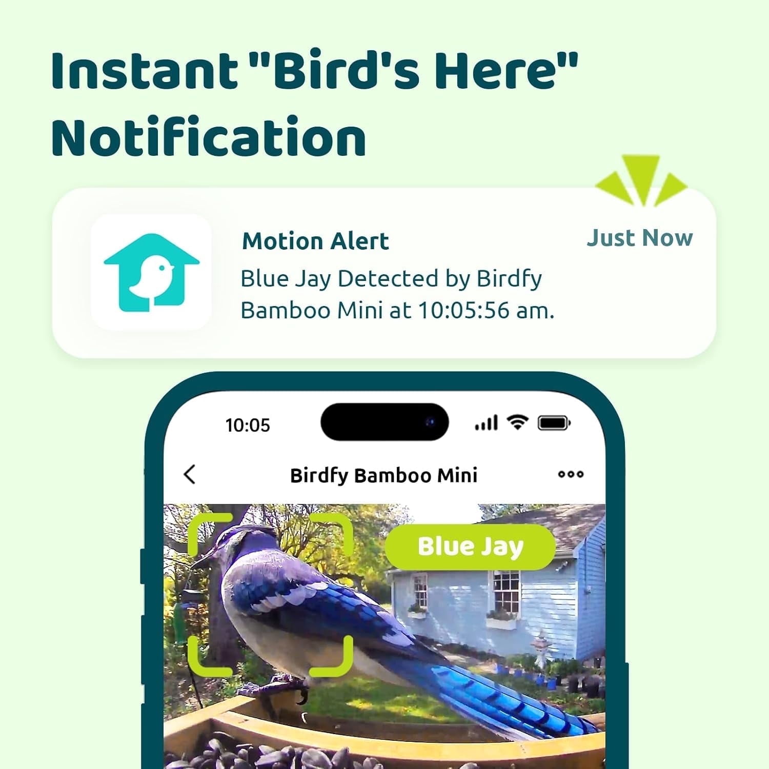 Birdfy Smart Bird Feeder with Camera, High-End Bamboo, Mini in Size, Solar Powered, Auto Capture Birds & Notify in Time, Powerful AI Recognition, Ideal Gift Present