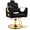 Black, variant on Professional Salon Styling Chair – Reclining Barber Chair with 360° Swivel & Heavy-Duty Hydraulic Pump Black