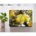 thumbnail image 1 of KSK KAISHEK Compatible with MacBook Pro 16" Case 2023/2022/2021 Release Model M2 A2780 & A2485 M1, Plastic Hard Protective Shell Case Cover + Black Keyboard Cover, Plants series 0440, 1 of 5