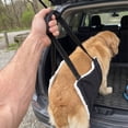 thumbnail image 6 of Adjustable Dog Harness,Dog Sling Carrier for Injured & Disabled Pets & Support for Senior Dogs with Weakness,Soft Lift Harness,XL, 6 of 7