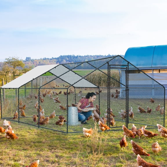 UBesGoo Heavy Duty Metal Chicken Coop, 20x10ft Walk-in Design with Waterproof Cover & Secure Enclosure