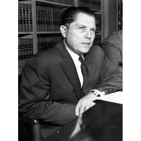 Jimmy Hoffa History (24 x 36)